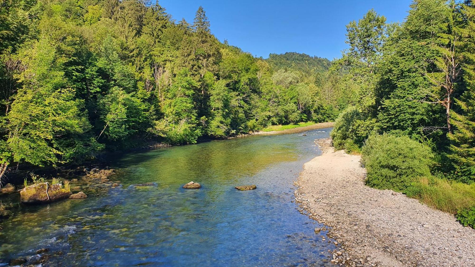 Eco River Camp - Pitches Radovljica Luaran gambar
