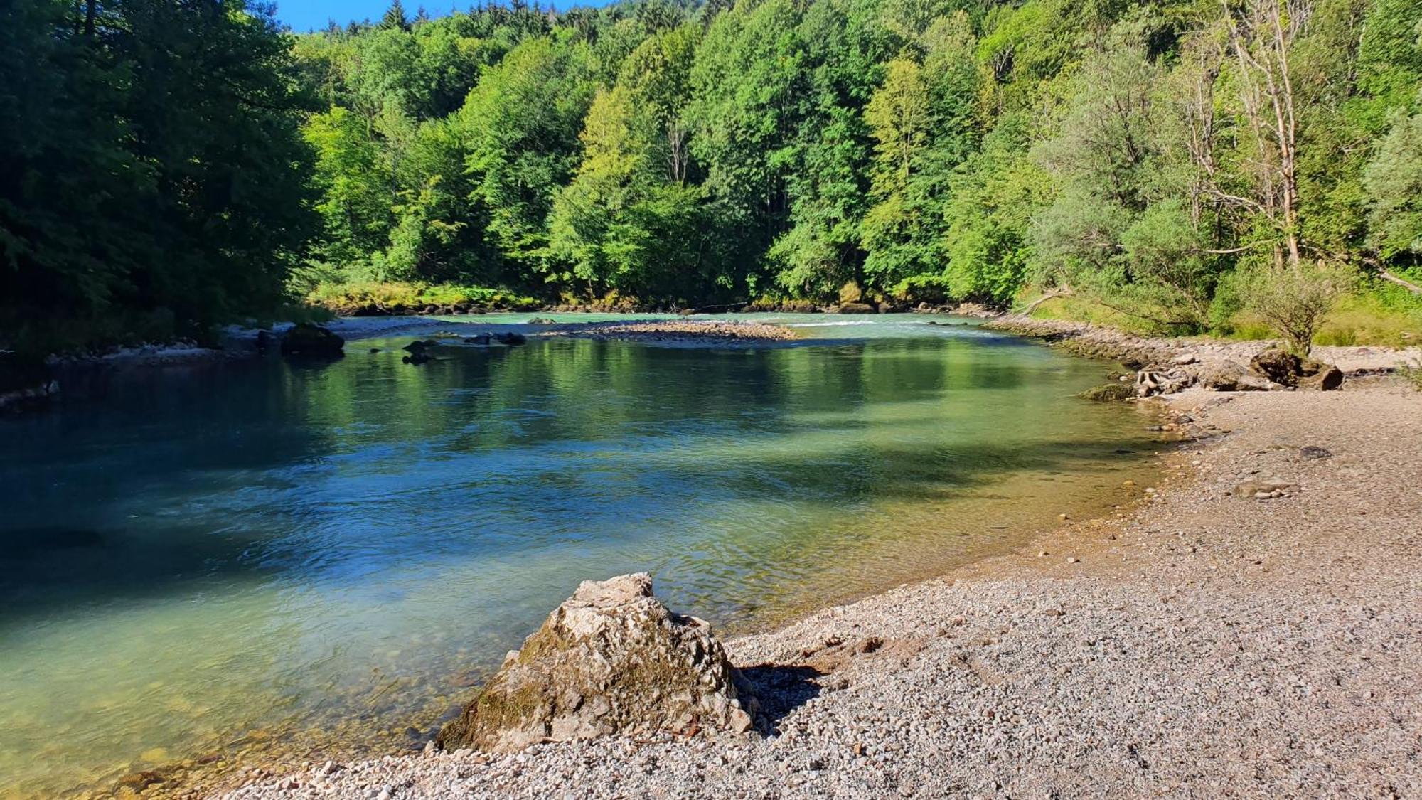 Eco River Camp - Pitches Radovljica Luaran gambar